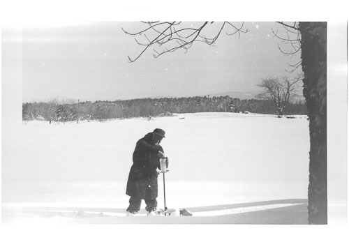 Mixed Early Red Hall