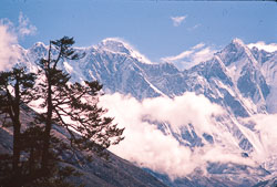 ADF_CS00004.jpg
