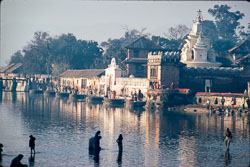 ADF_CS00091.jpg