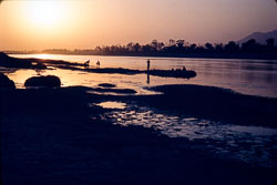 ADF_CS00118.jpg