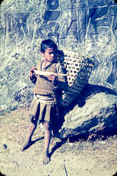 ADF_CS00143.jpg