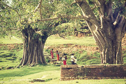 ADF_CS00160.jpg