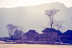 ADF_CS00185.jpg
