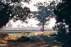 ADF_CS00223.jpg