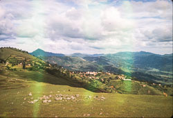 ADF_CS00246.jpg