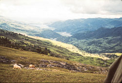 ADF_CS00289.jpg