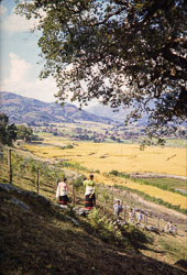 ADF_CS00290.jpg