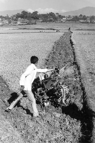 AF003.jpg AF003.jpg