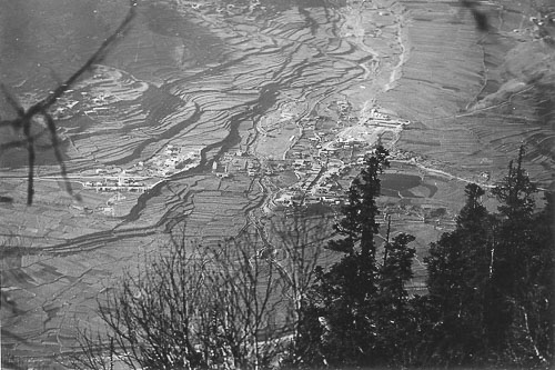 AF007.jpg AF007.jpg