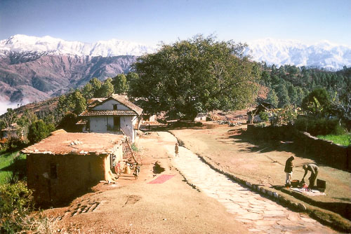 AF060.jpg AF060.jpg