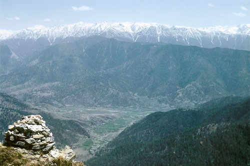 AF069.jpg AF069.jpg