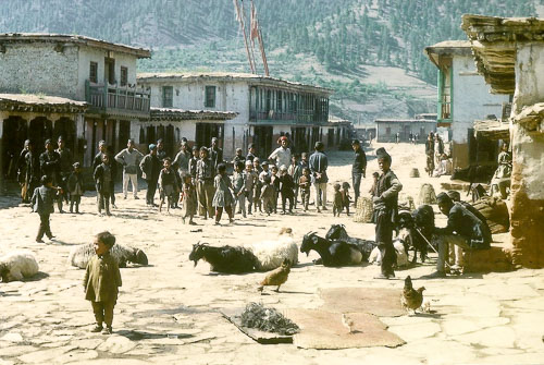 AF072.jpg AF072.jpg