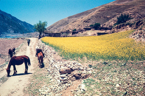 AF_CS000112.jpg