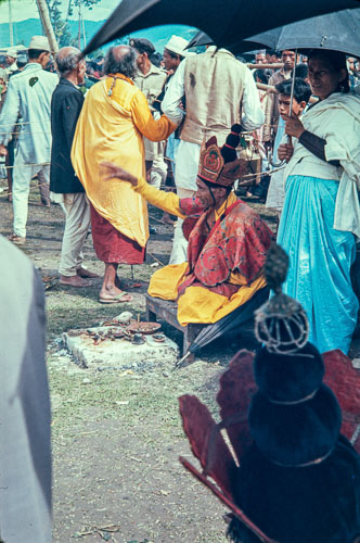 AF_CS00017.jpg AF_CS00017.jpg