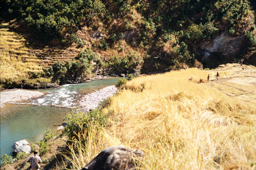 AF_CS000175.jpg
