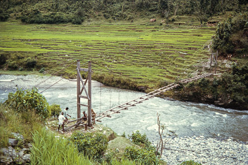 AF_CS000179.jpg