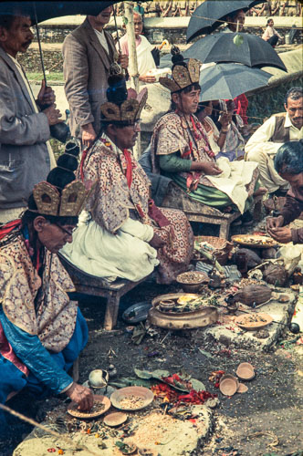 AF_CS00018.jpg AF_CS00018.jpg