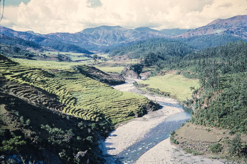AF_CS000184.jpg
