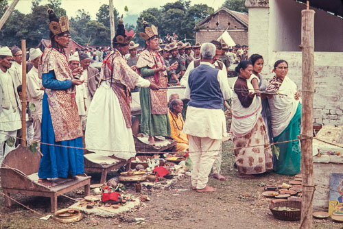 AF_CS00019.jpg AF_CS00019.jpg