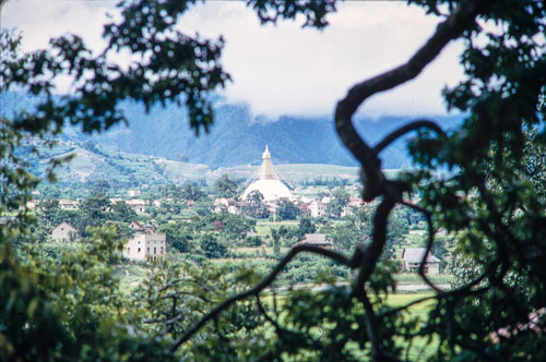 AF_CS00024.jpg AF_CS00024.jpg