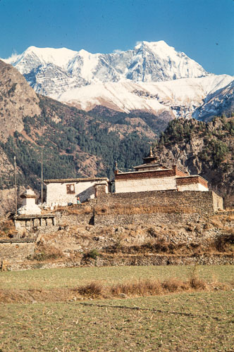 AF_CS00026.jpg AF_CS00026.jpg