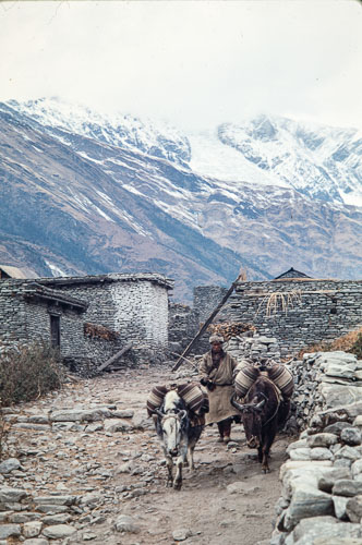 AF_CS00030.jpg AF_CS00030.jpg