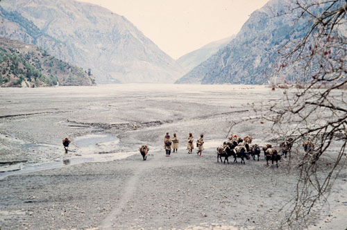 AF_CS00033.jpg AF_CS00033.jpg