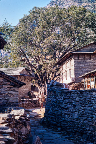 AF_CS00035.jpg AF_CS00035.jpg