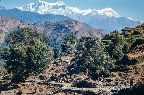 AF_CS00037.jpg AF_CS00037.jpg