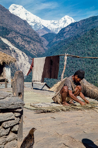 AF_CS00038.jpg AF_CS00038.jpg