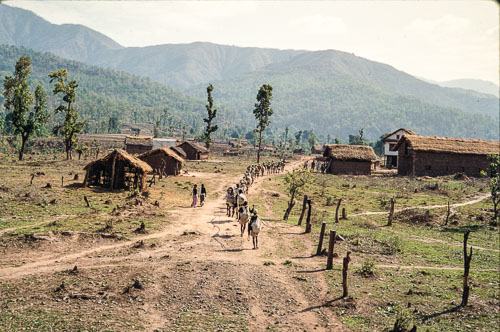 AF_CS00042.jpg AF_CS00042.jpg