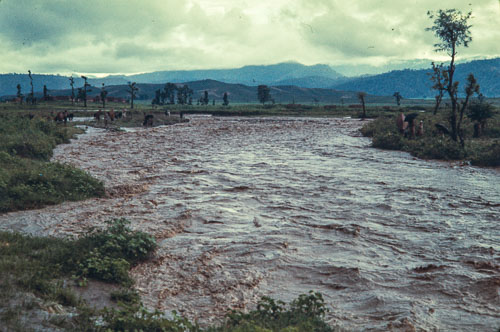 AF_CS00044.jpg AF_CS00044.jpg