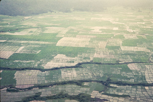 AF_CS00045.jpg AF_CS00045.jpg