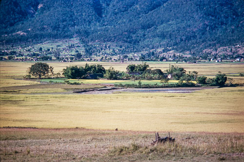 AF_CS00047.jpg AF_CS00047.jpg