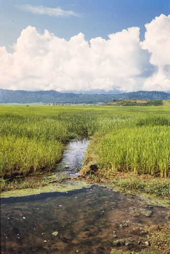 AF_CS00048.jpg AF_CS00048.jpg