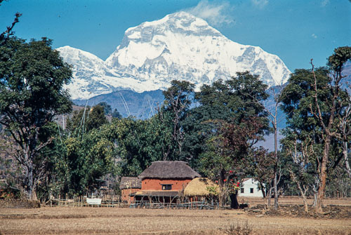 AF_CS00055.jpg AF_CS00055.jpg