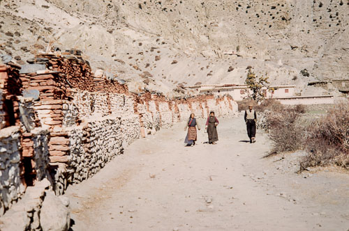 AF_CS00057.jpg AF_CS00057.jpg