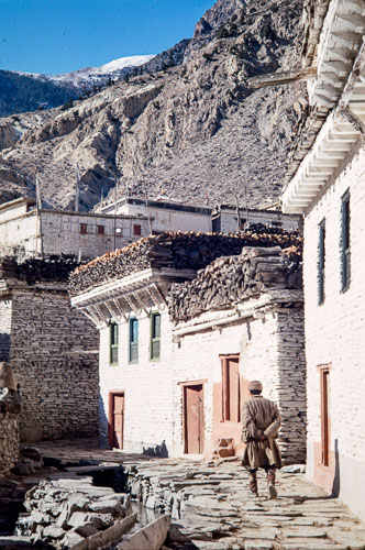 AF_CS00060.jpg AF_CS00060.jpg