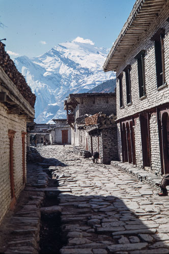 AF_CS00061.jpg AF_CS00061.jpg