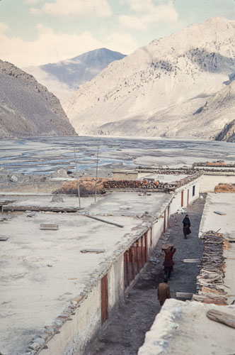 AF_CS00064.jpg AF_CS00064.jpg