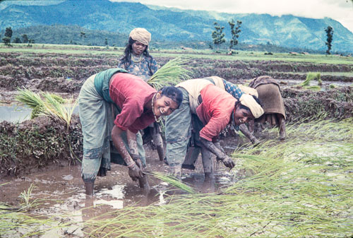 AF_CS00070.jpg AF_CS00070.jpg