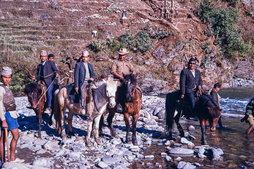 AF_CS00071.jpg AF_CS00071.jpg