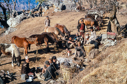 AF_CS00073.jpg AF_CS00073.jpg