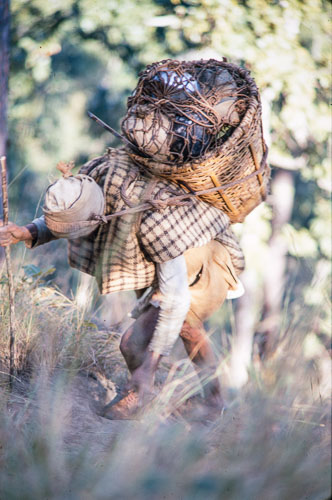 AF_CS00079.jpg AF_CS00079.jpg