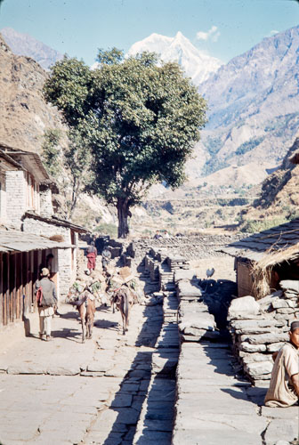 AF_CS00274.jpg AF_CS00274.jpg