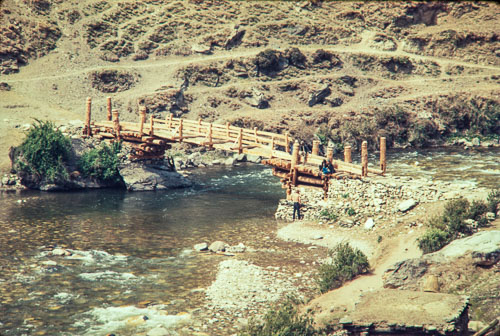 AF_CS00281.jpg AF_CS00281.jpg