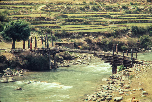 AF_CS00283.jpg AF_CS00283.jpg