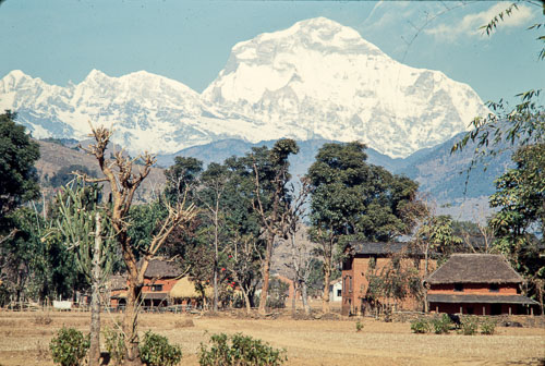 AF_CS00310.jpg AF_CS00310.jpg