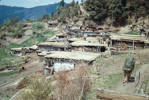 AF_CS00314.jpg AF_CS00314.jpg