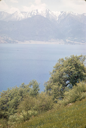 AF_CS00315.jpg AF_CS00315.jpg